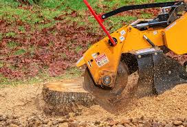 Best Aeration Services  in West Carthage, NY